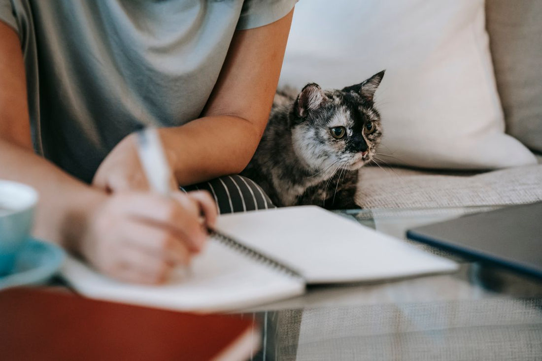 猫のそばでノートを書く人