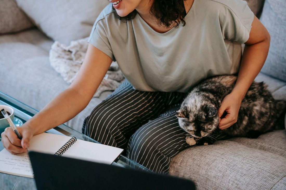 猫をなでながら手帳を書く女性