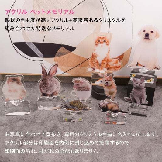 アクリルメモリアル PAR-1の商品イメージ