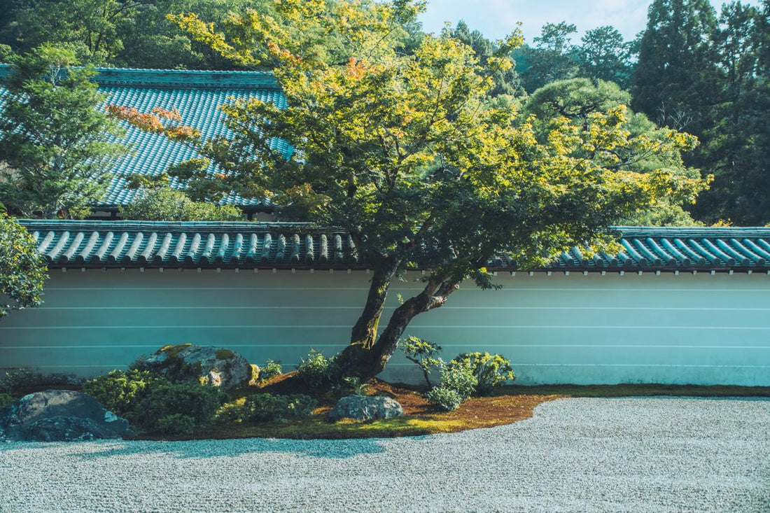 静かな庭の風景。自宅敷地での供養を考える際のイメージ