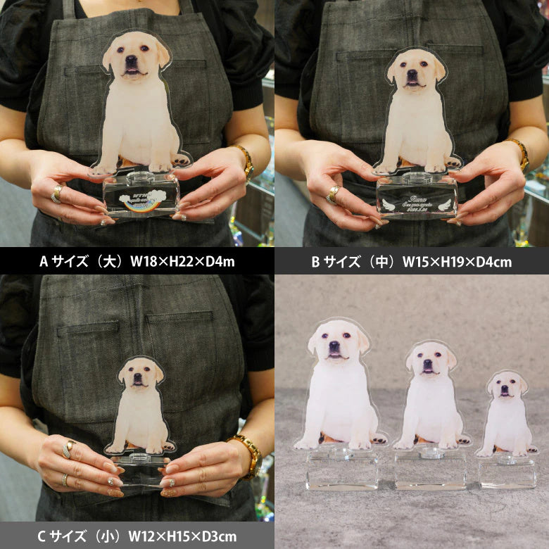 プレミアムアクリルメモリアル PAR-1 サイズ比較